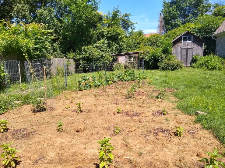 img_20190611_115755416_hdr